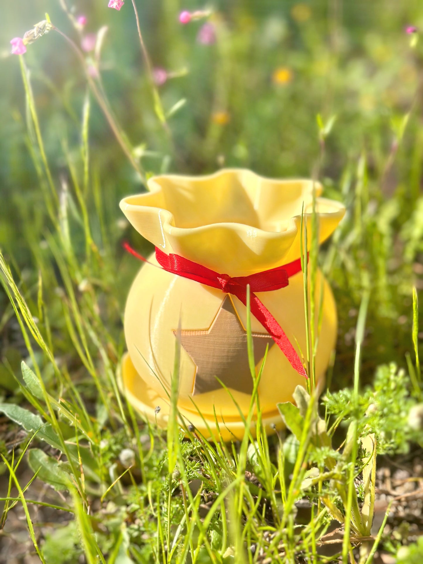 MACETA BOLSA DE BAYAS 🌱