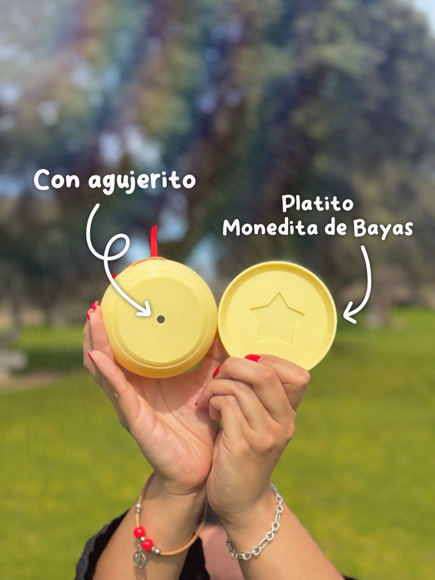 MACETA BOLSA DE BAYAS 🌱